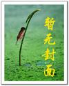 洛克王子【总攻】