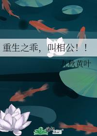 ����֮�ԣ����๫