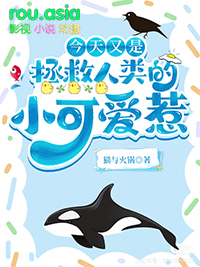 �����������������С�ɰ���