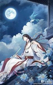 （综同人）（综）弦华锦瑟
