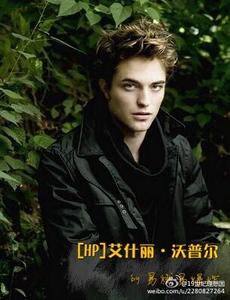 ��HPͬ�ˣ�[HP]��ʲ�������ն�