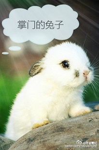 ���ŵ�����