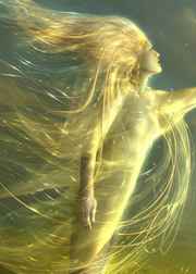 [����]��������