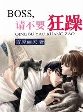 BOSS���벻Ҫ����