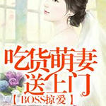 BOSS�Ӱ����Ի�����������