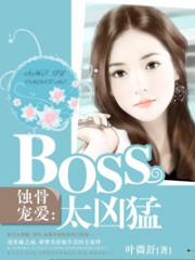 ʴ�ǳ谮��BOSS̫����