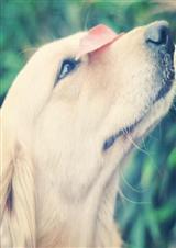 ��������������