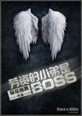 ���ʵ�С����boss��ϵͳ��
