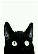 ����֮�����ܲ�.