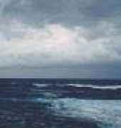 ��ӿ ���+����